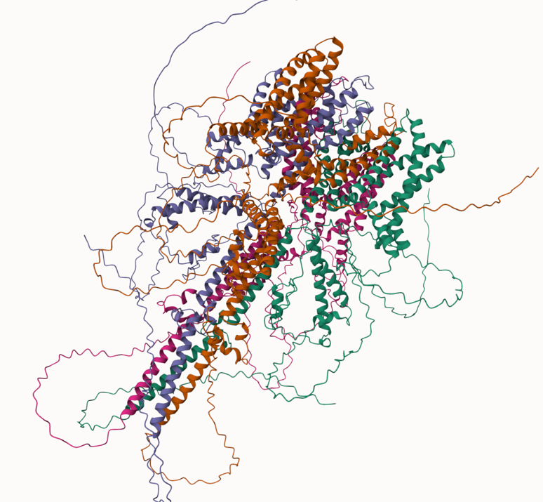 Synaptica Protein2